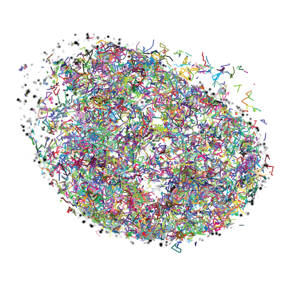 Janelia Fluor® Dyes Janelia Research Campus